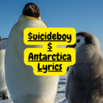 $uicideboy$ antarctica lyrics
