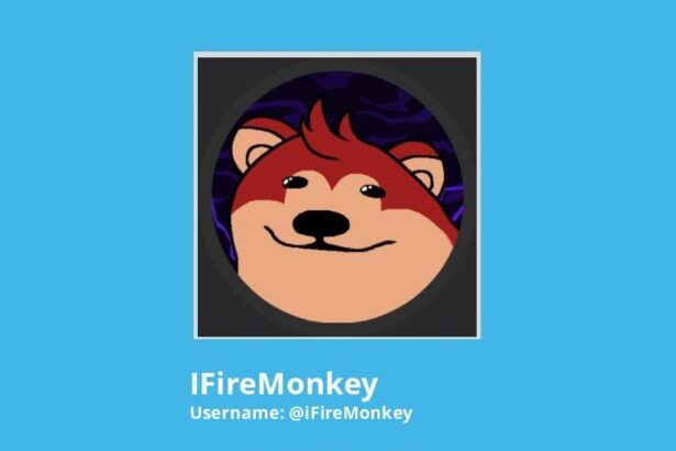 ifiremonkey twitter